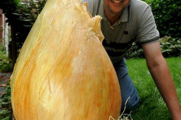 Кракен зеркало рабочее на сегодня krakenat2krnkrnk com