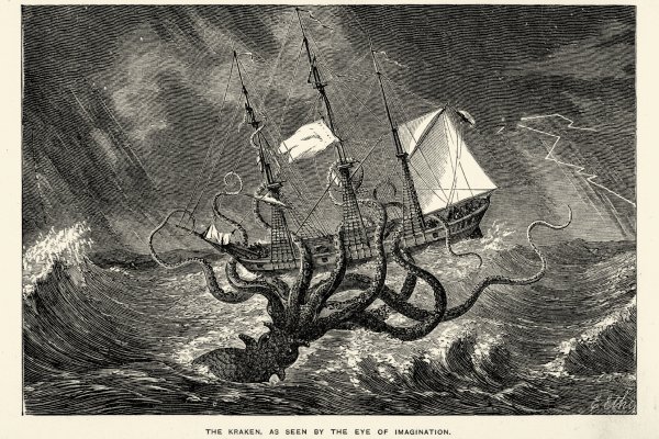 Kraken19at