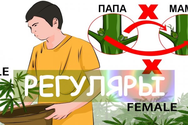 Ссылка кракен официальная тор