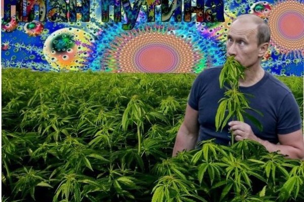 Кракен соль