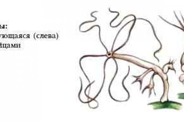 Кракен сайт krknwebs