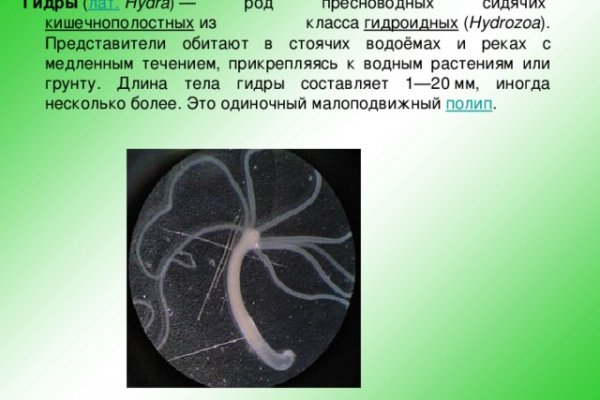 Kraken как найти ссылку