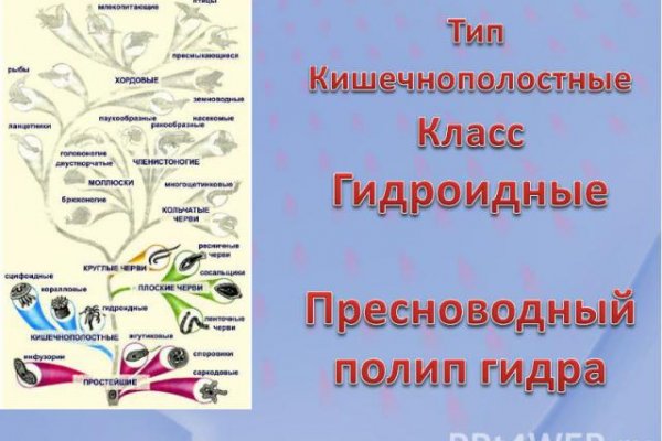 Кракен даркнет только через тор скачать