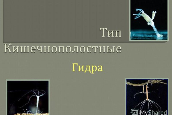 Как пополнять кракен тор