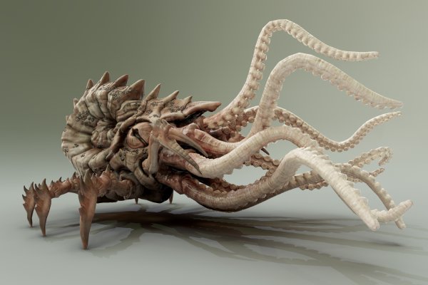 Как зайти на kraken маркетплейс